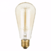 Ampoule LED décorative Modèle EDISON 32W