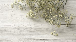 brise bise sur mesure