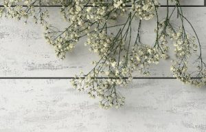 brise bise sur mesure