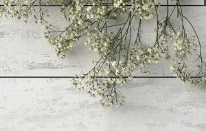 brise bise sur mesure