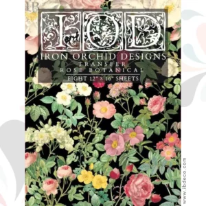 transfert rose botanical