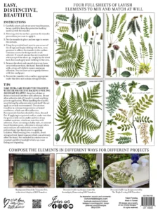 transfert iod fronds botanical back